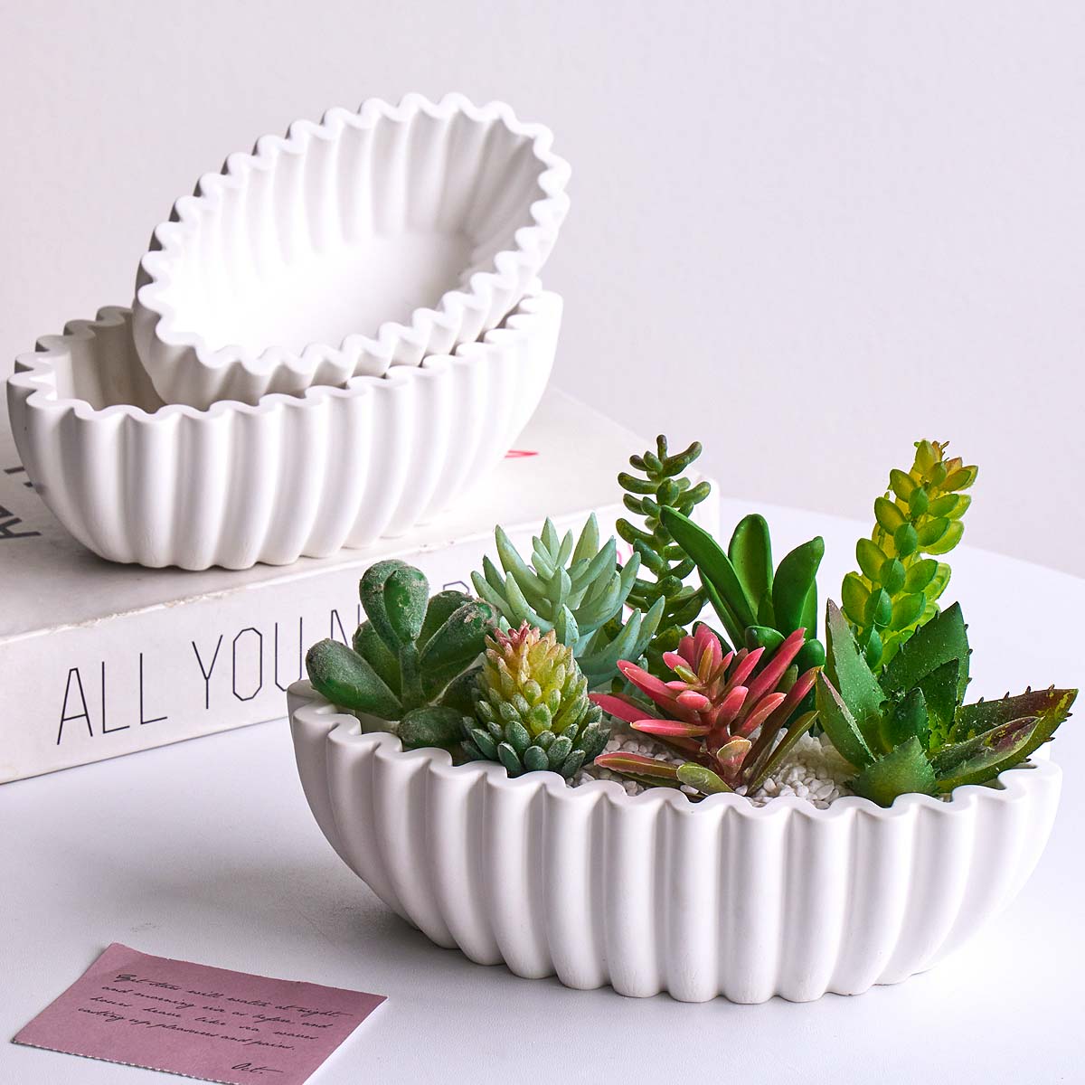 S/M/L Oval Striped Storage Bow - đánh giá và giá Potsticker Mold